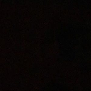 Meet your Posher, Oscar